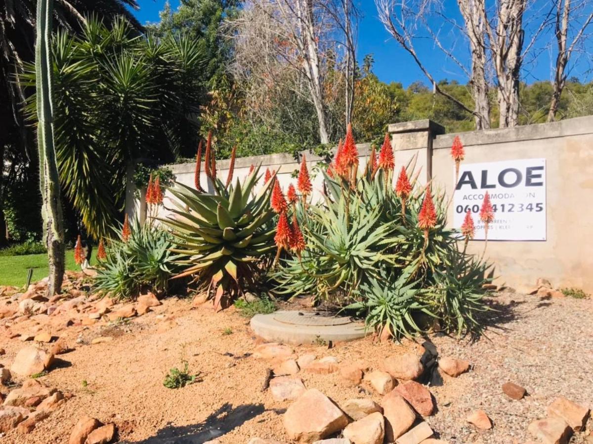 Aloe Guesthouse Klerksdorp Eksteriør billede