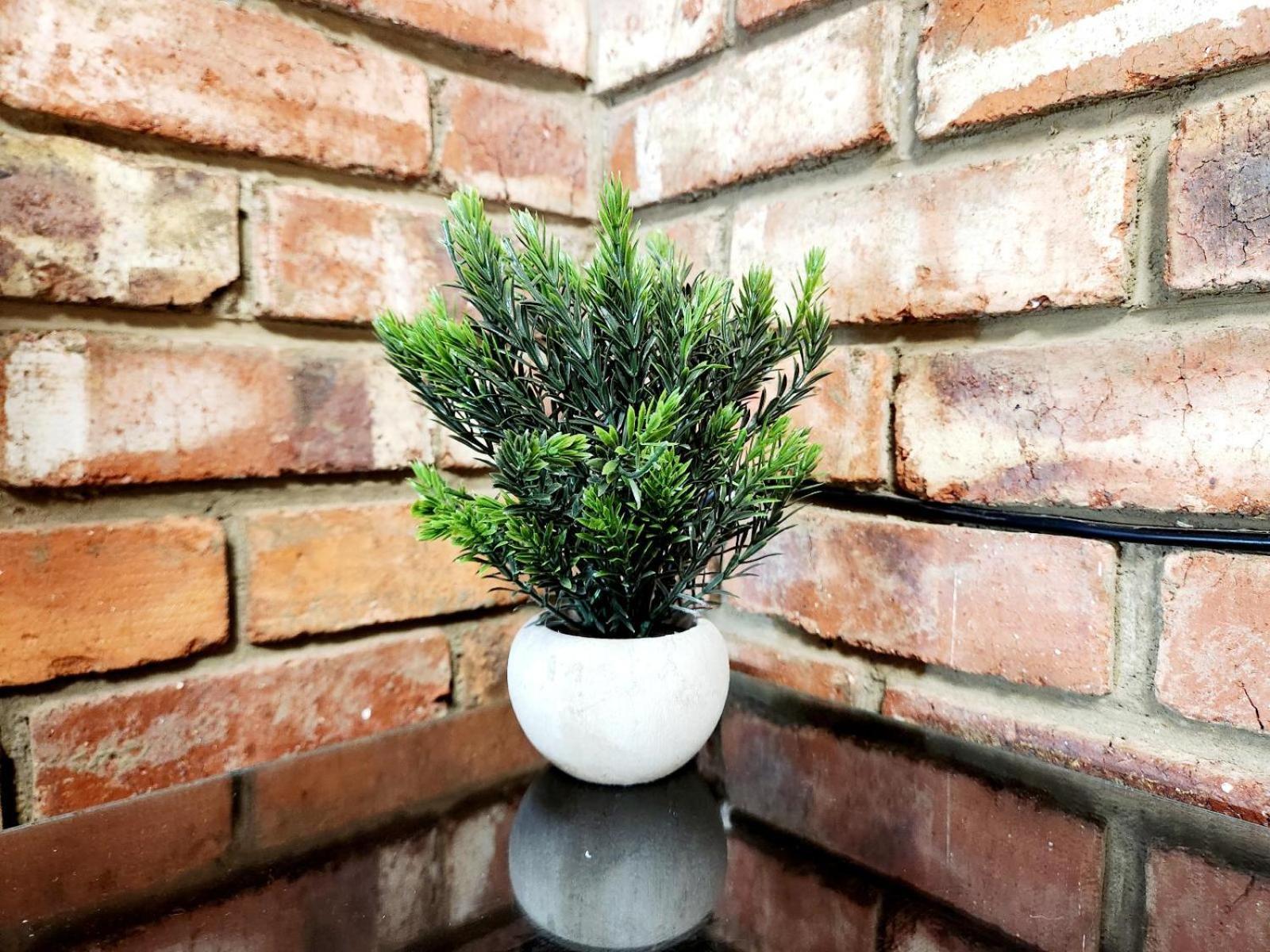 Aloe Guesthouse Klerksdorp Værelse billede
